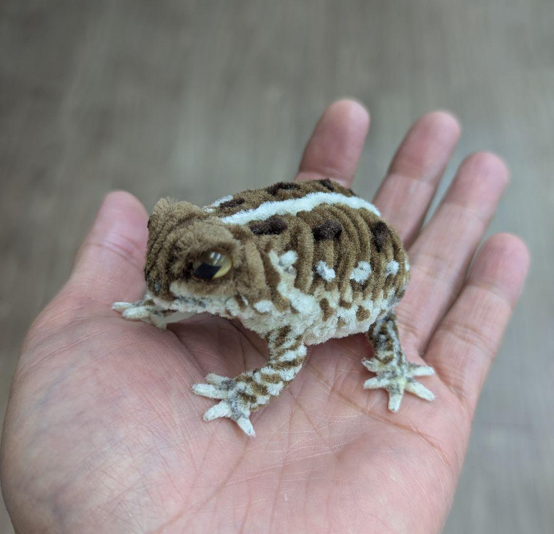 CoCo...オーダー作品モールのレオパ２、アメフクラガエル、ミヤコヒキ