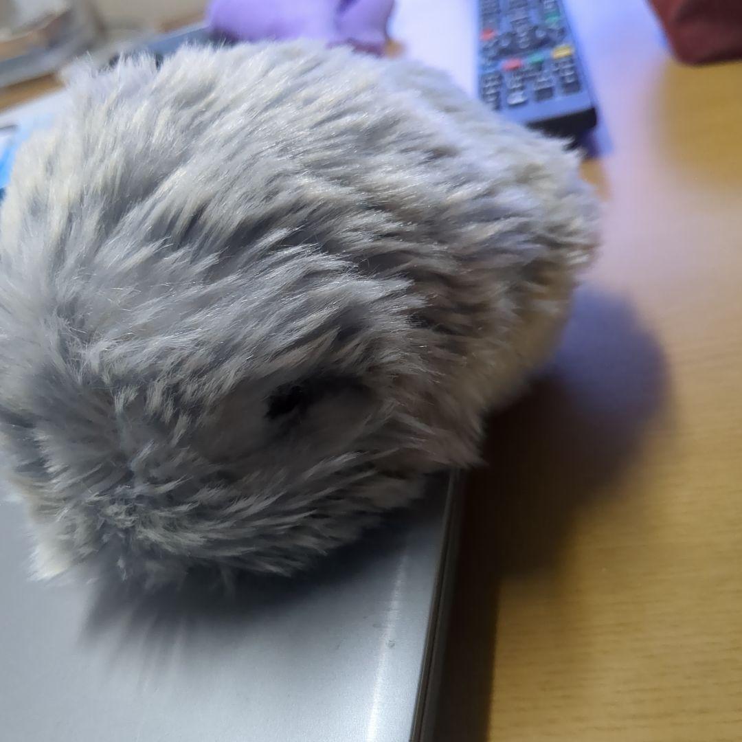 モフリン138日間ペットでした