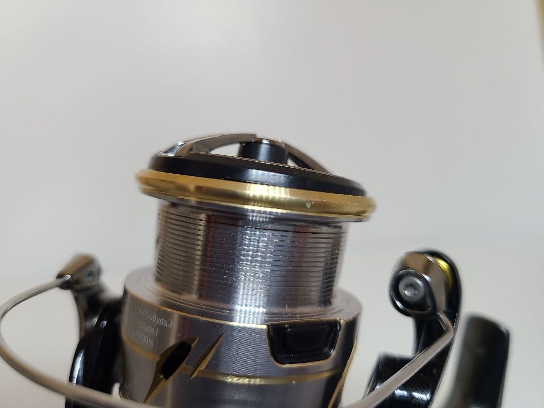 DAIWA ルビアスLT2500 20ルビアス ルビアス カスタム ダイワ