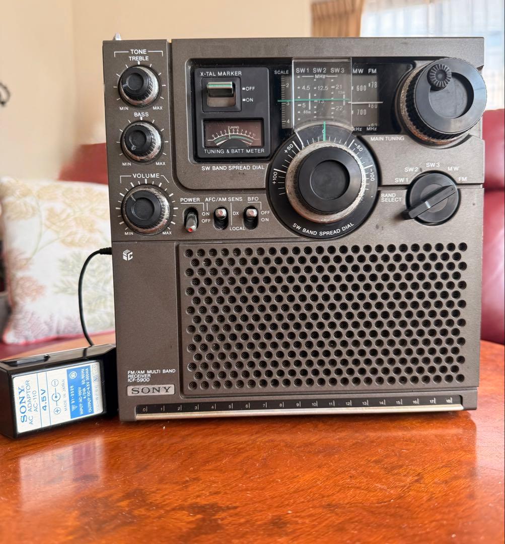 SONY スカイセンサー5900