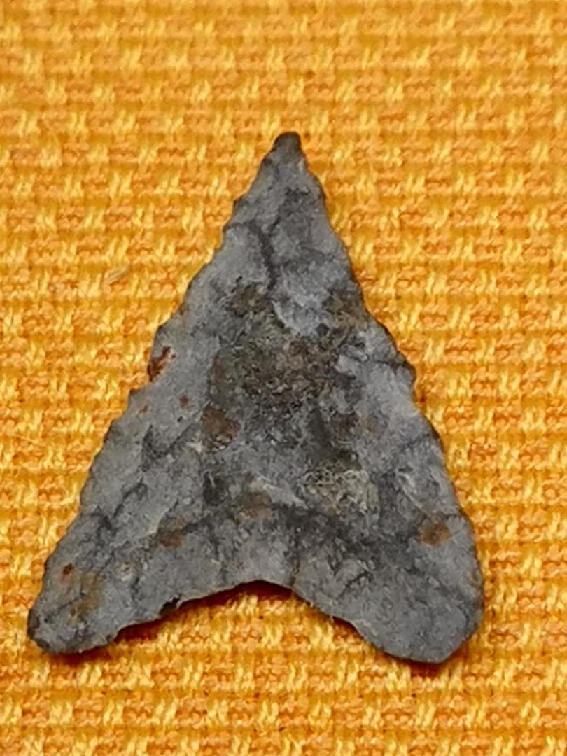 石鏃　矢じり　黒曜石　石器時代　置物　インテリア　工芸品　美術品　A1730