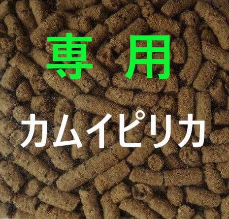 姫ちゃん カムイピリカ6kg