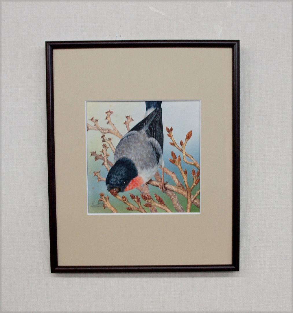 【絵画】ネイチャーアート「梅の新芽をついばむウソ」