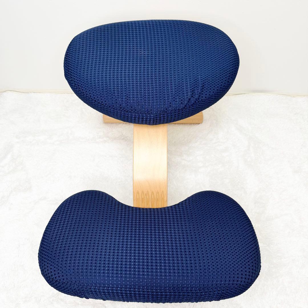 未使用級 balans lab バランスイージー ショートフレーム カバー付き