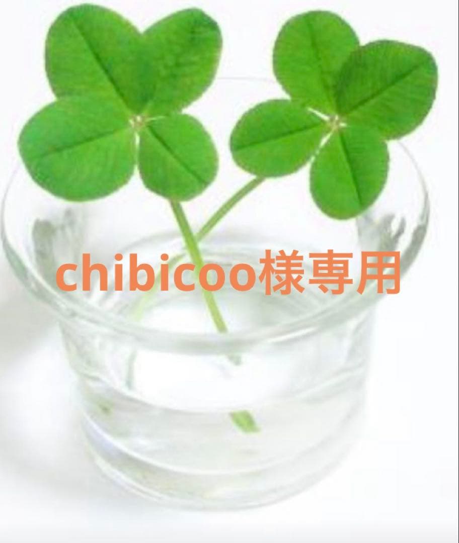 化粧水・ローション・トナー chibicoo