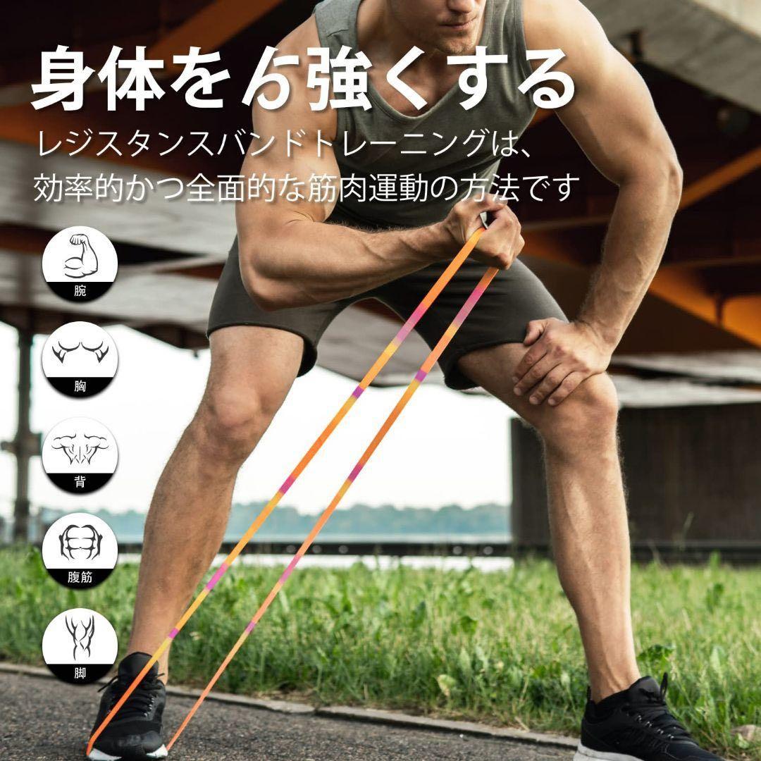 lecardio トレーニングチューブ　ギフトボックス