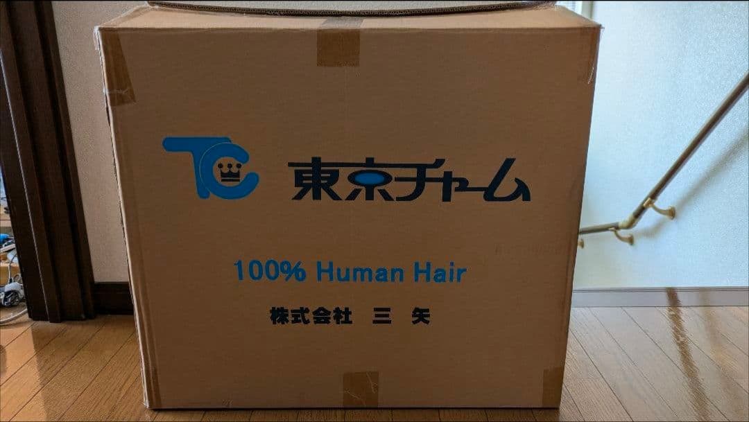 美容師国家試験用 カットウィッグ