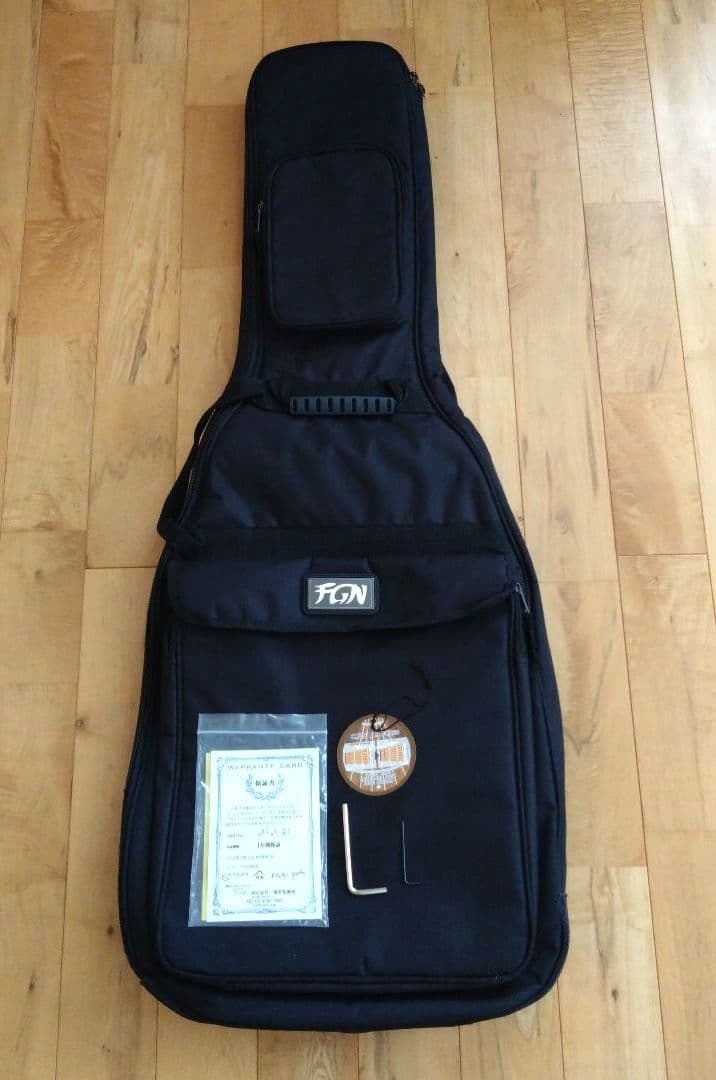 ギター FUJIGEN Boundary Iliad BIL2-G-HH BLACK