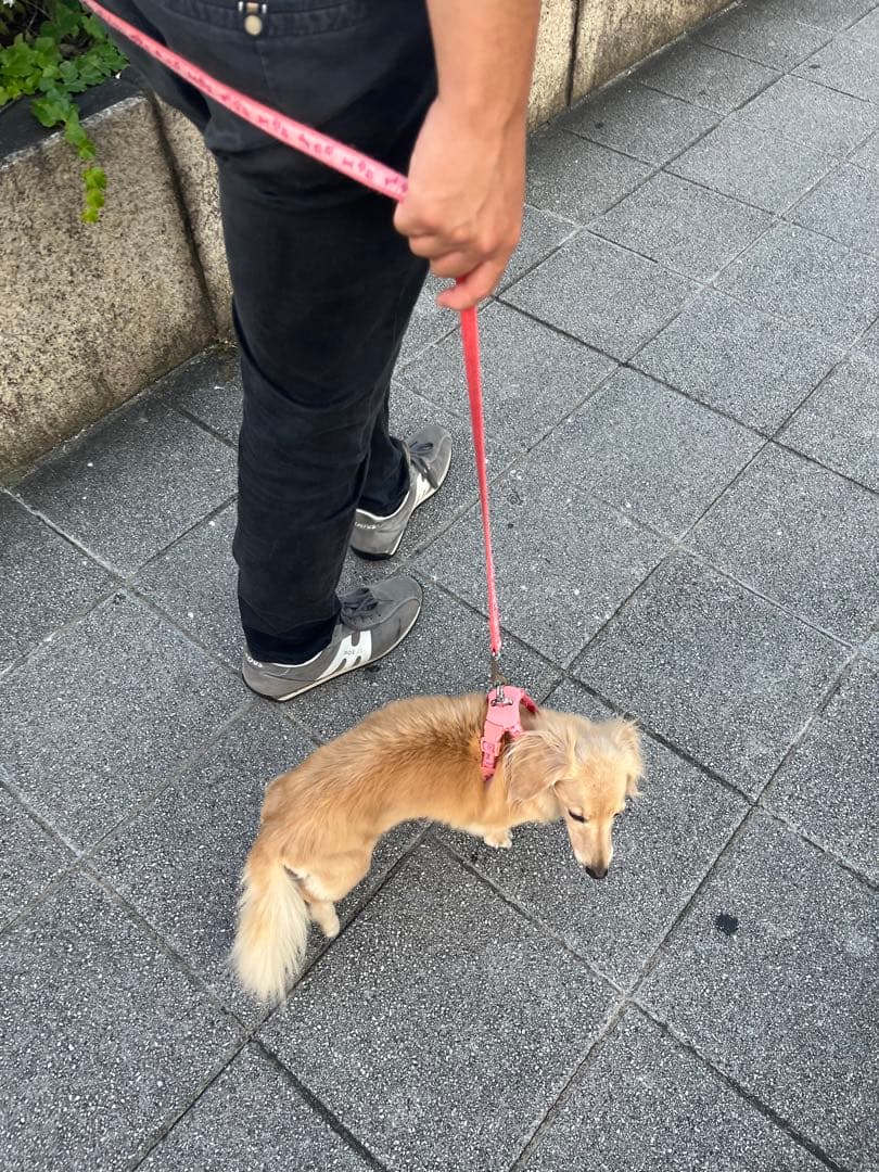 口元写真追加してみました