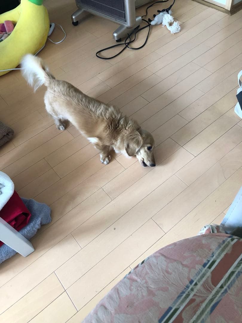 口元写真追加してみました