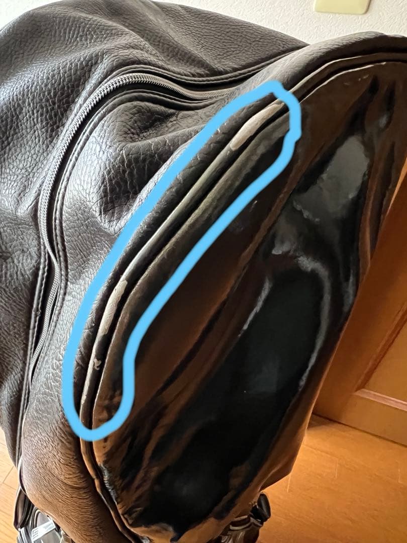 ラウドマウスシャガデリックシルバー刺繍柄ゴルフバッグ