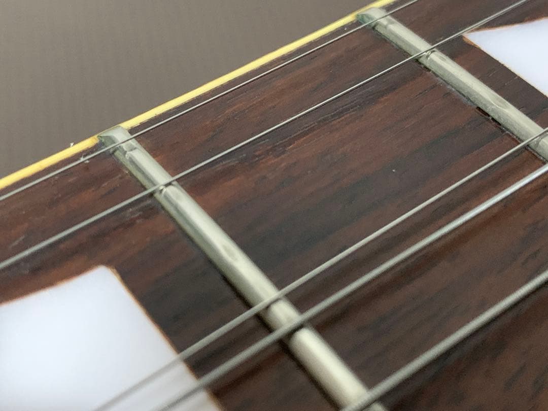 フォトジェニック Photo Genic LPレスポール ブラウンサンバースト