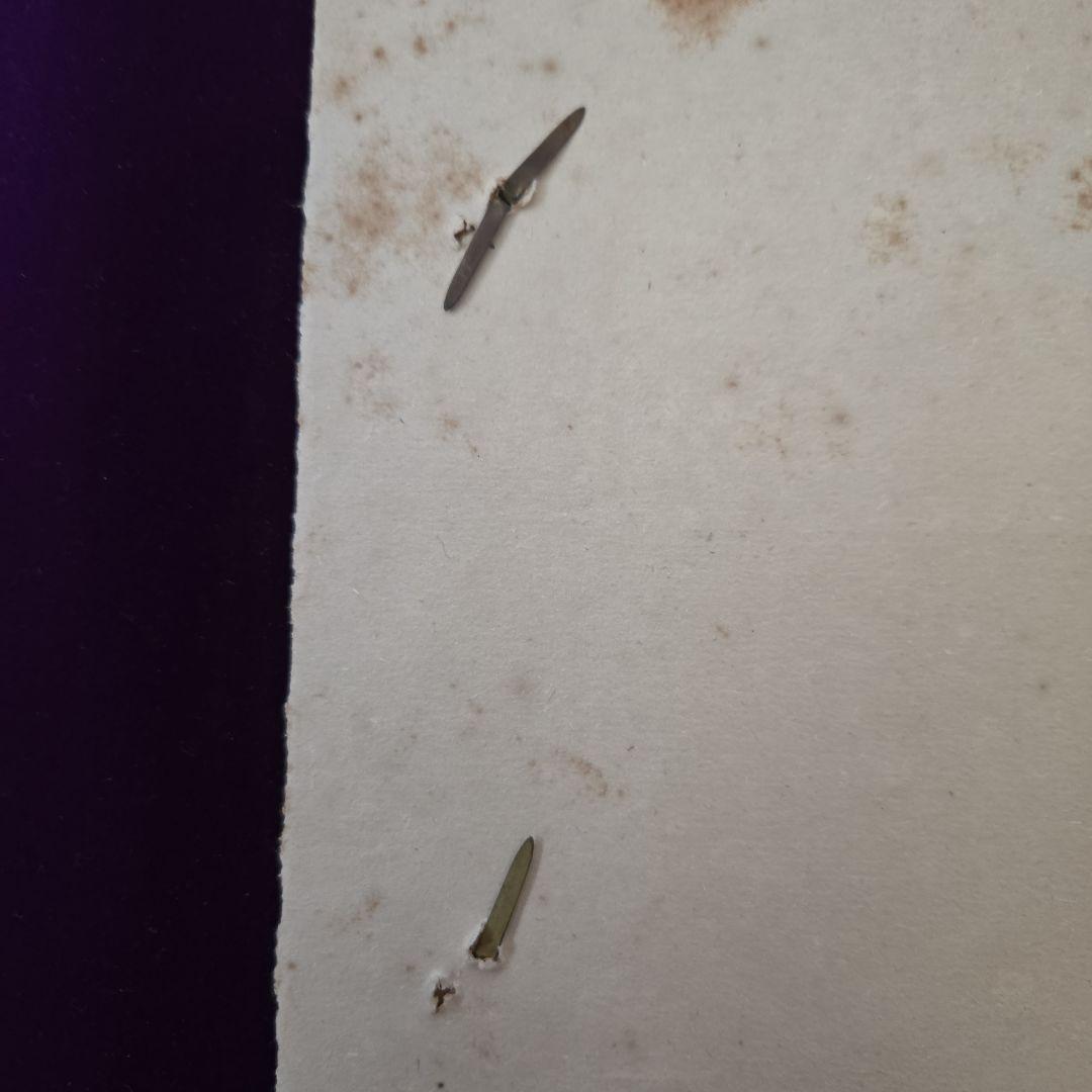 おそらく明治、芸者のカタログ