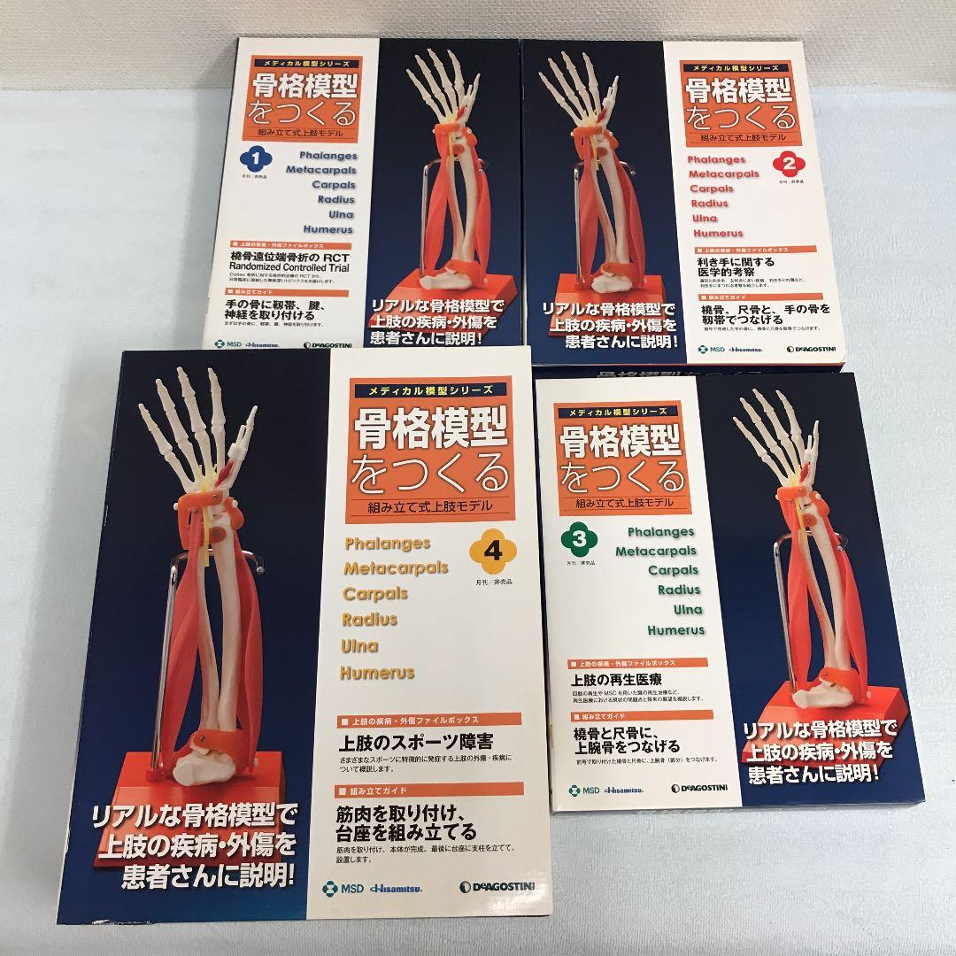 骨格模型をつくる　上肢モデル　1-4 デアゴスティーニ　非売品