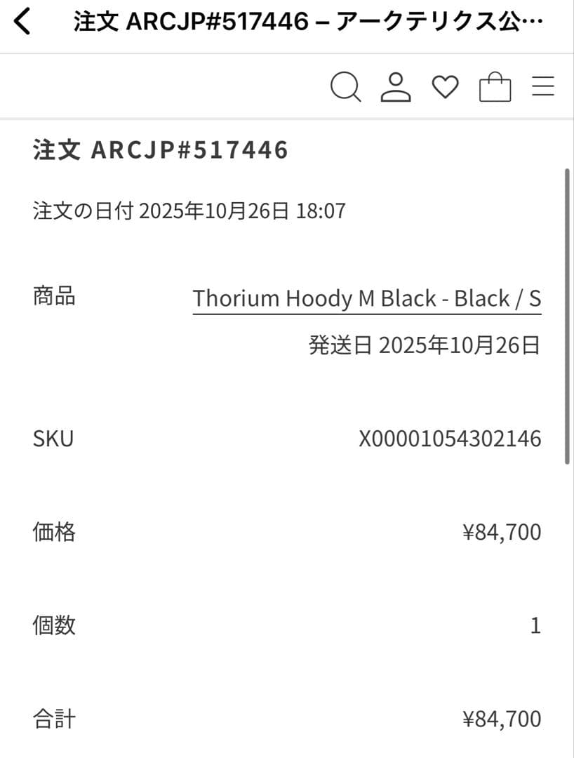 アークテリクス ソリウムフーディー