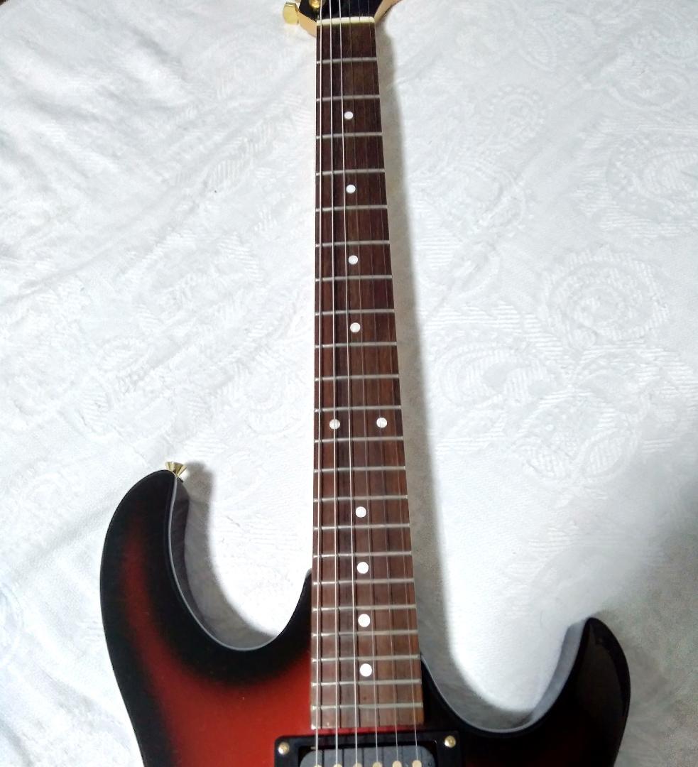 Anboy（フジゲン）AN-25 状態良好・整備調整済（ケーブル・ストラップ付）