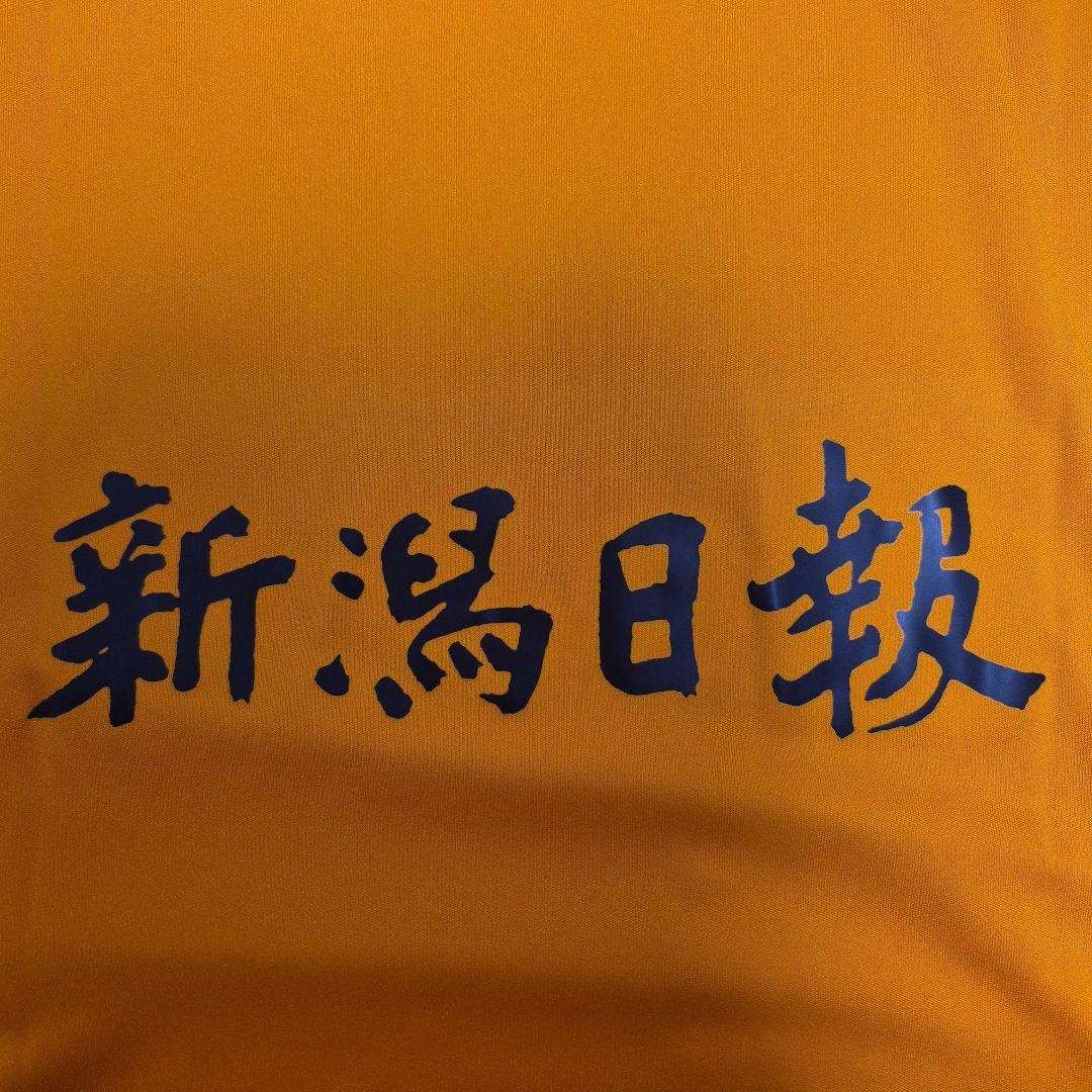 adidas 新潟アルビレックス 2025年　GK2nd　XL　新品未使用正規品