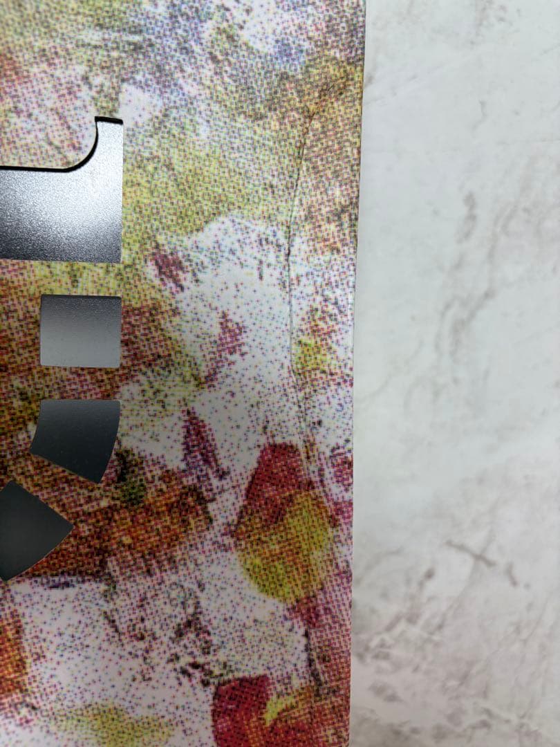 バッシュ　リーニン　 ディーロ1 29センチ