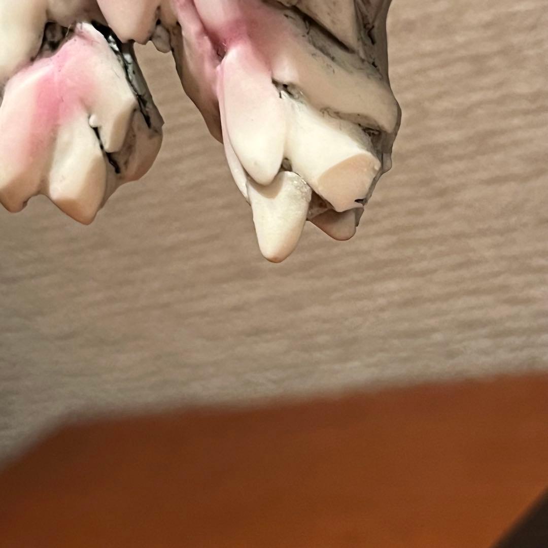 希少　ジョゼッペアルマーニ　アリエル　リトルマーメイド　ディズニー　人形　陶器