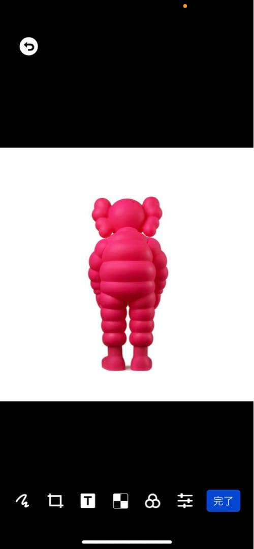 その他 KAWS WHAT PARTY PINK