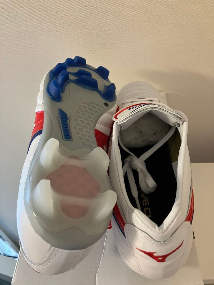 カーズさん専用Mizuno Wave Cup SS Japan 27.0