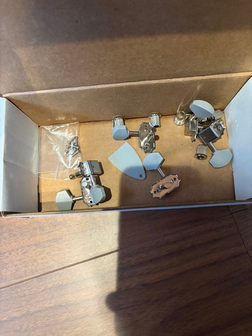 PRS SE Silver Sky 純正ロックペグ変更済み