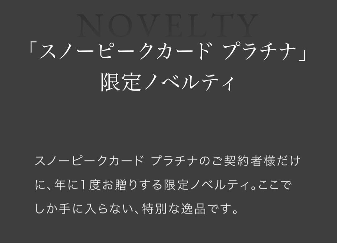 【希少・非売品】スノーピーク クレカ プラチナ特典 2年分 マルナオ ノベルティ