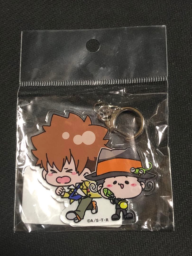 激レア　家庭教師ヒットマンREBORN！アクリルキーホルダー Maリボーン＆綱吉