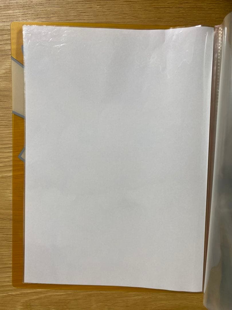 ポケットモンスター　ポケモンセンター限定 A4クリアファイル　2004年　当時物