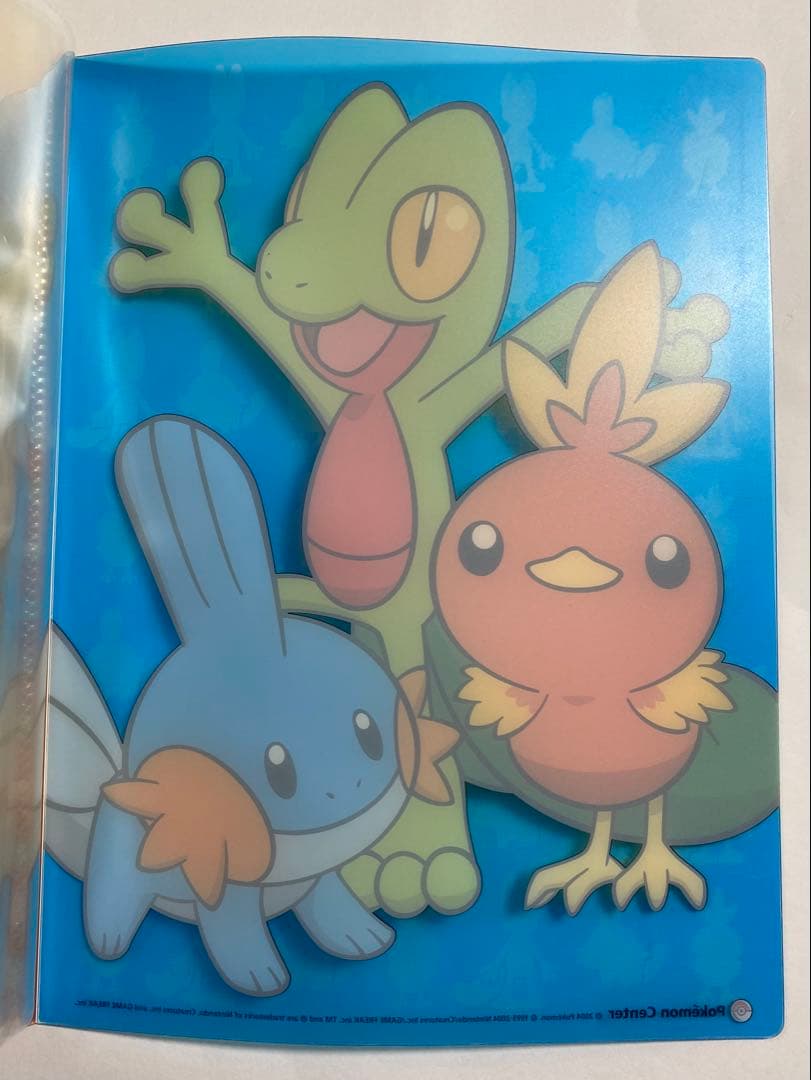 ポケットモンスター　ポケモンセンター限定 A4クリアファイル　2004年　当時物