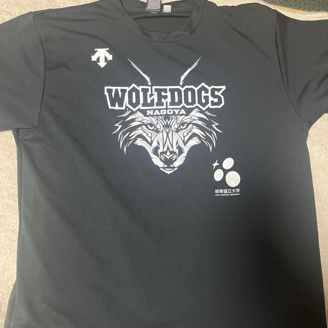 WOLFDOGS CUP限定