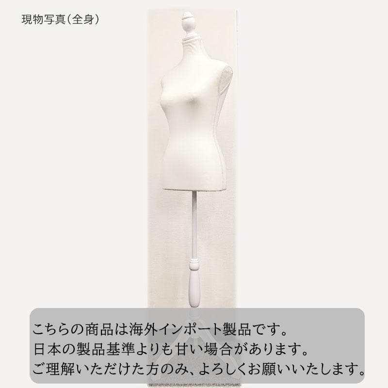 上半身 女性 レディース トルソー マネキン ホワイト 9号サイズ 腕なし