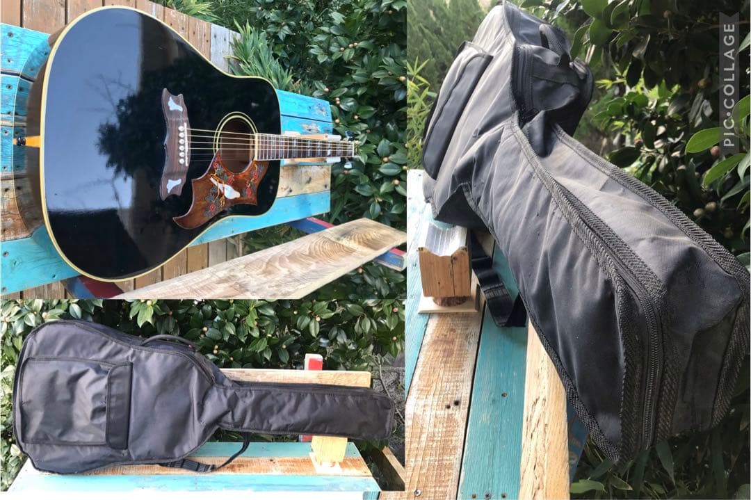 ギター Rider J-300D DOVE model