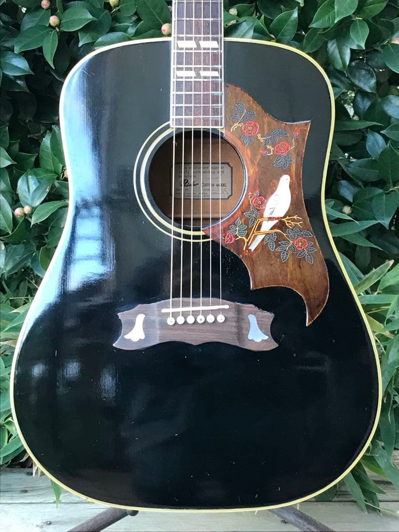 ギター Rider J-300D DOVE model