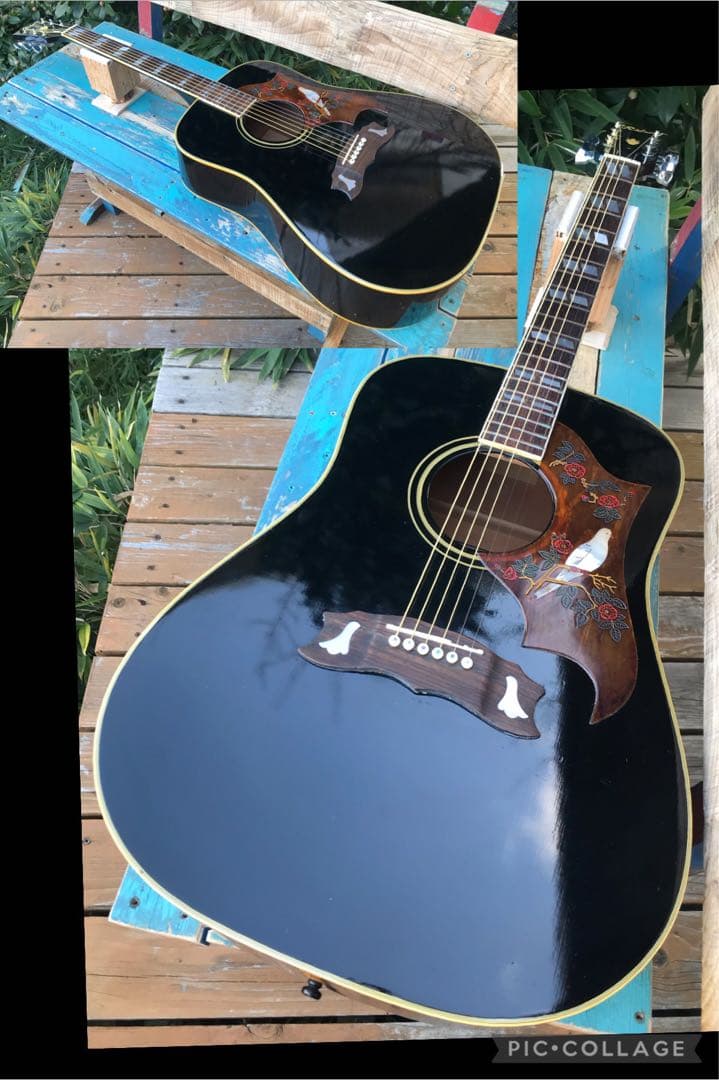 ギター Rider J-300D DOVE model