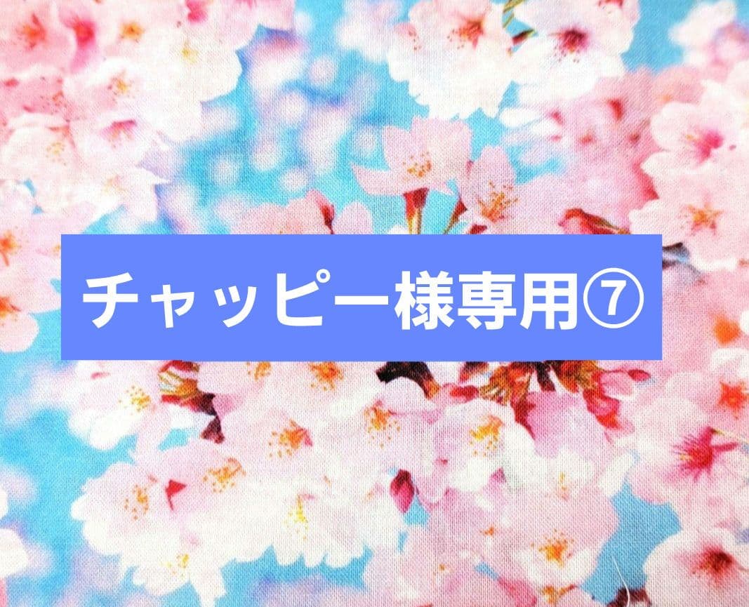 チャッピー⑦ブックカバー、ポーチ
