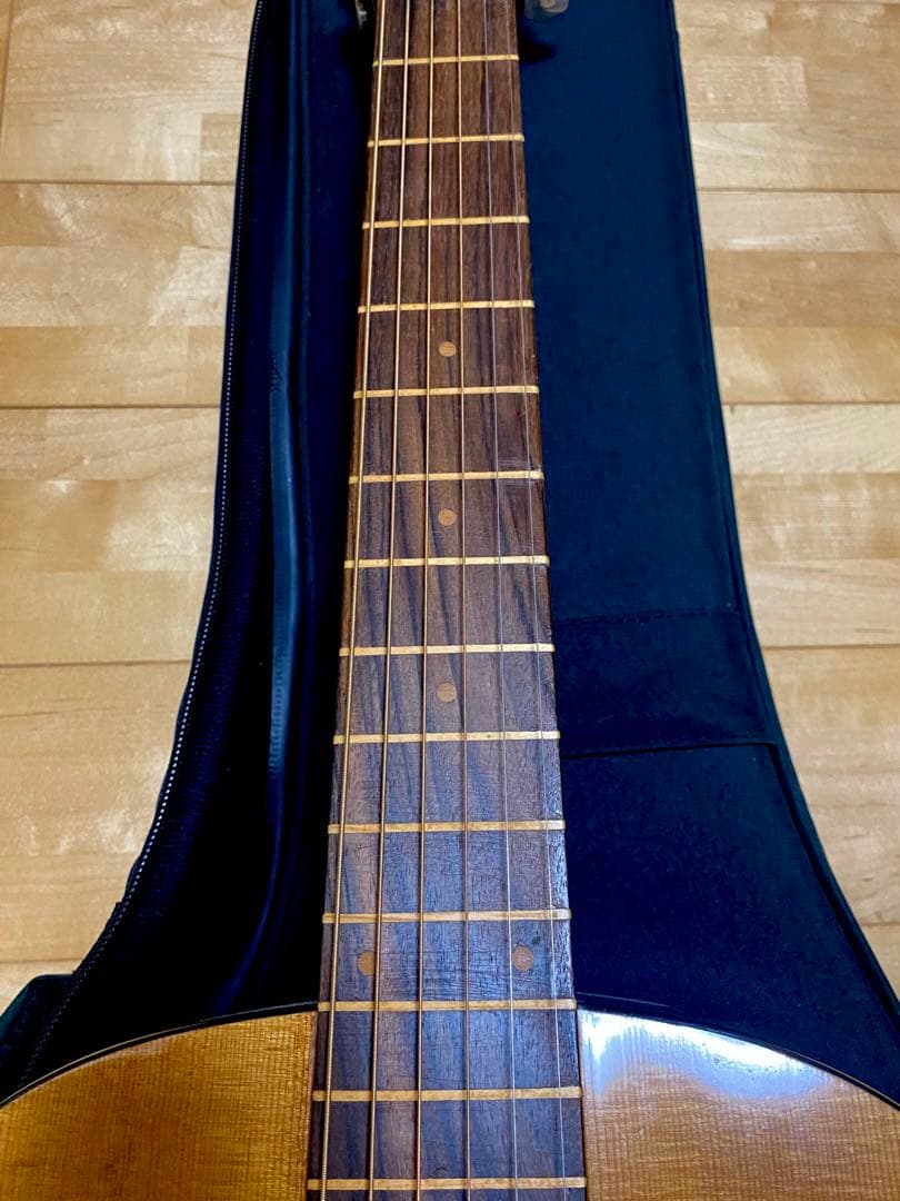 壱*徹様 値下げ❢珍‼️ ラップスチールギター　改造品　フレットレス動画あり