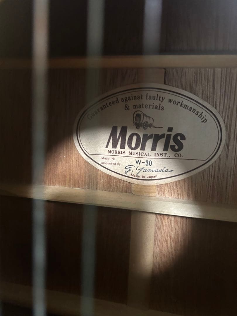 Morris アコースティックギター W-30