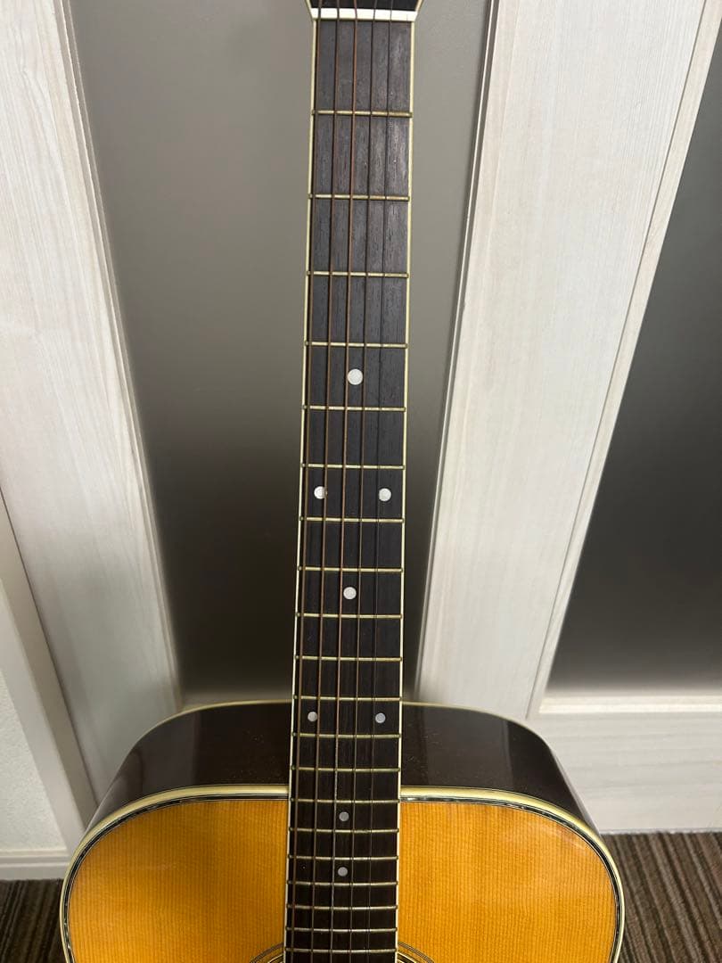 Morris アコースティックギター W-30