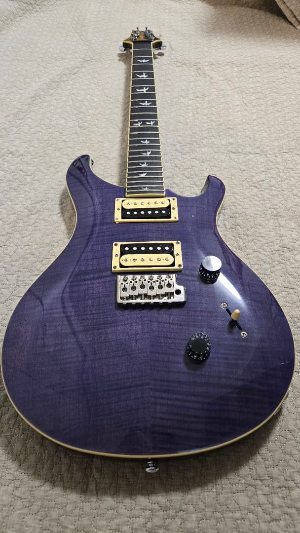 ギター [CAP]PRS SE Custom24 30th Anniversary