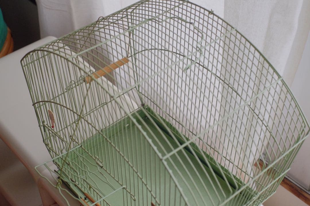 アンティーク　鳥かご　バードケージ　kinsen ビンテージ　文鳥　小鳥　琴線