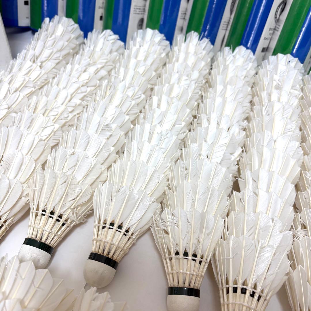 YONEX OFFICIAL F-70 4番　238球