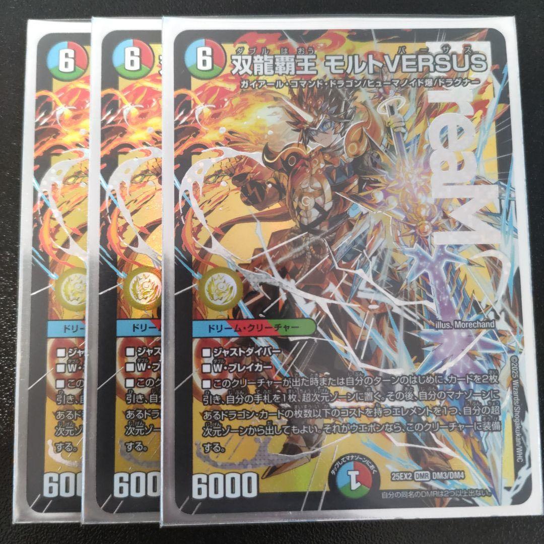 双龍覇王モルトVERSUS モルトバーサス　サカキ