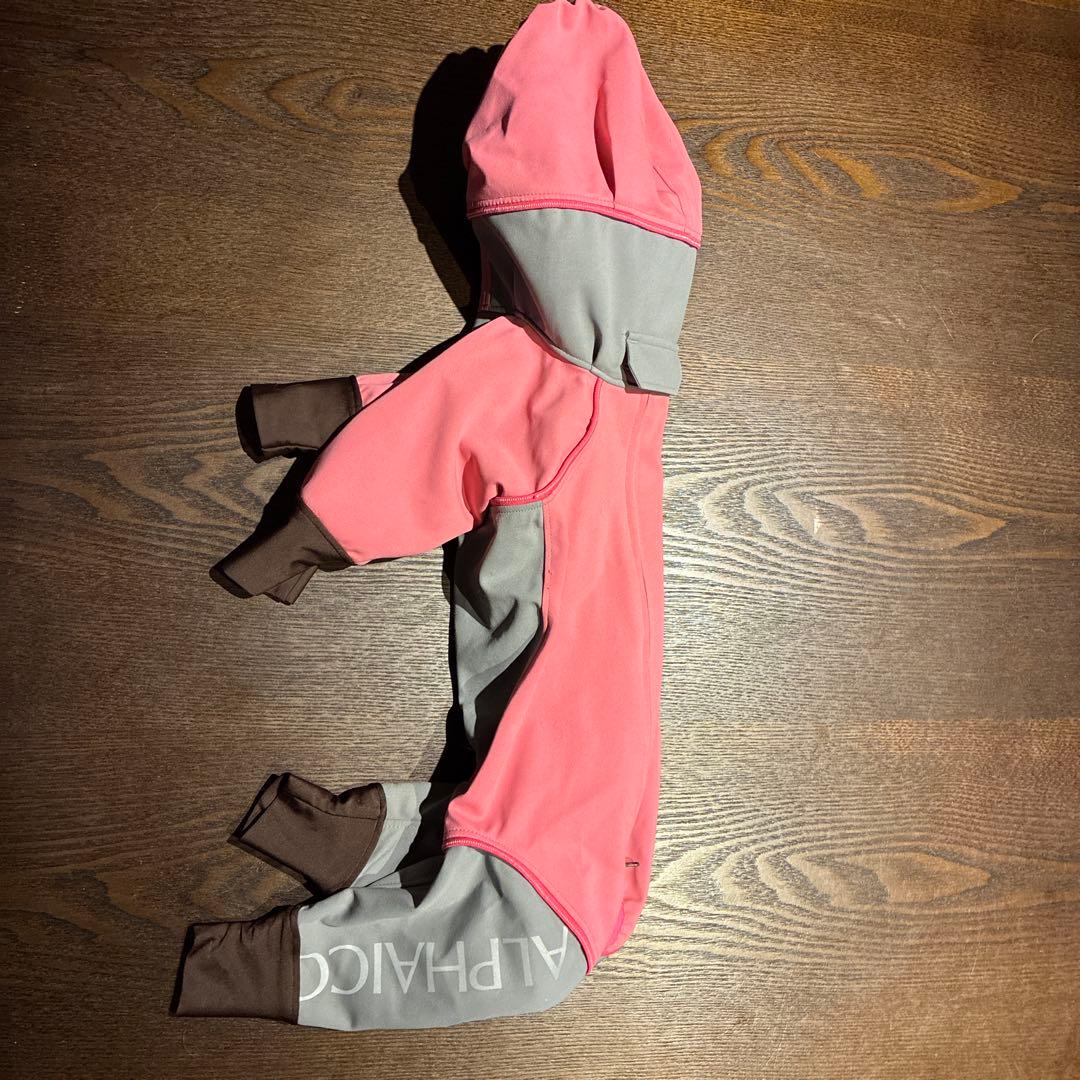 アルファアイコン　Ｌサイズ