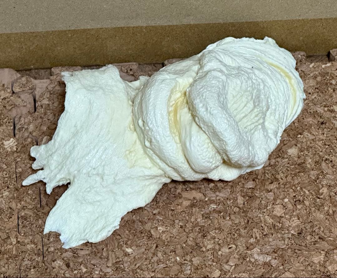 変身忍者　嵐　ガレージキット　原型師　竹谷隆之