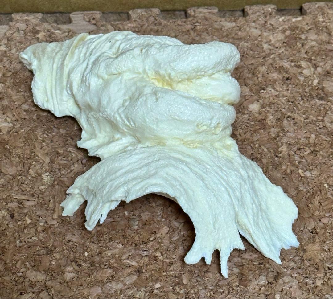 変身忍者　嵐　ガレージキット　原型師　竹谷隆之