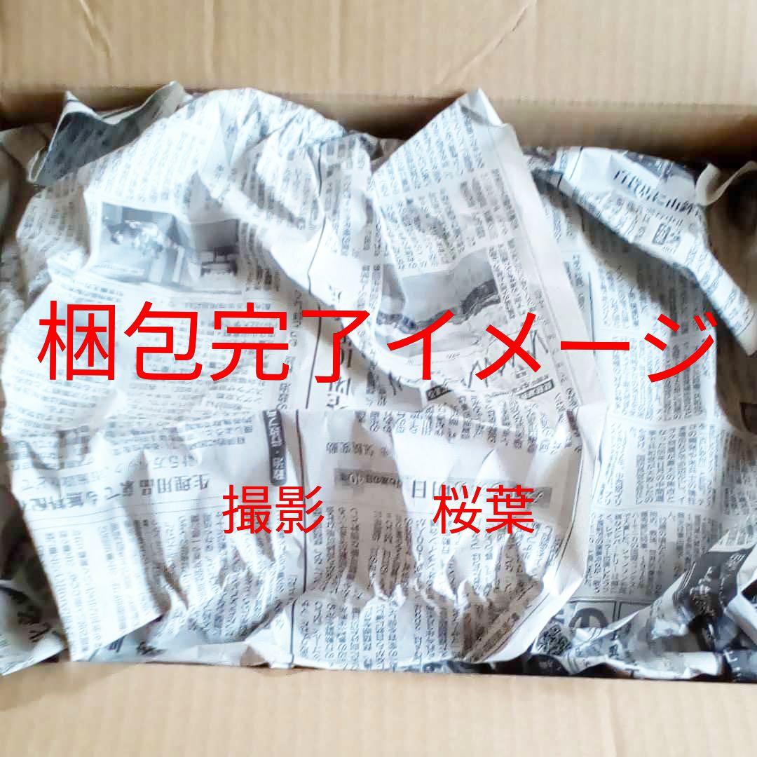 ガンダムw ガンプラ mg ガンダムデスサイズヘル　ew 未組立 内袋未開封