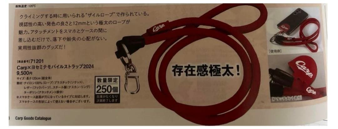 ヨセミテモバイルストラップ　Carp