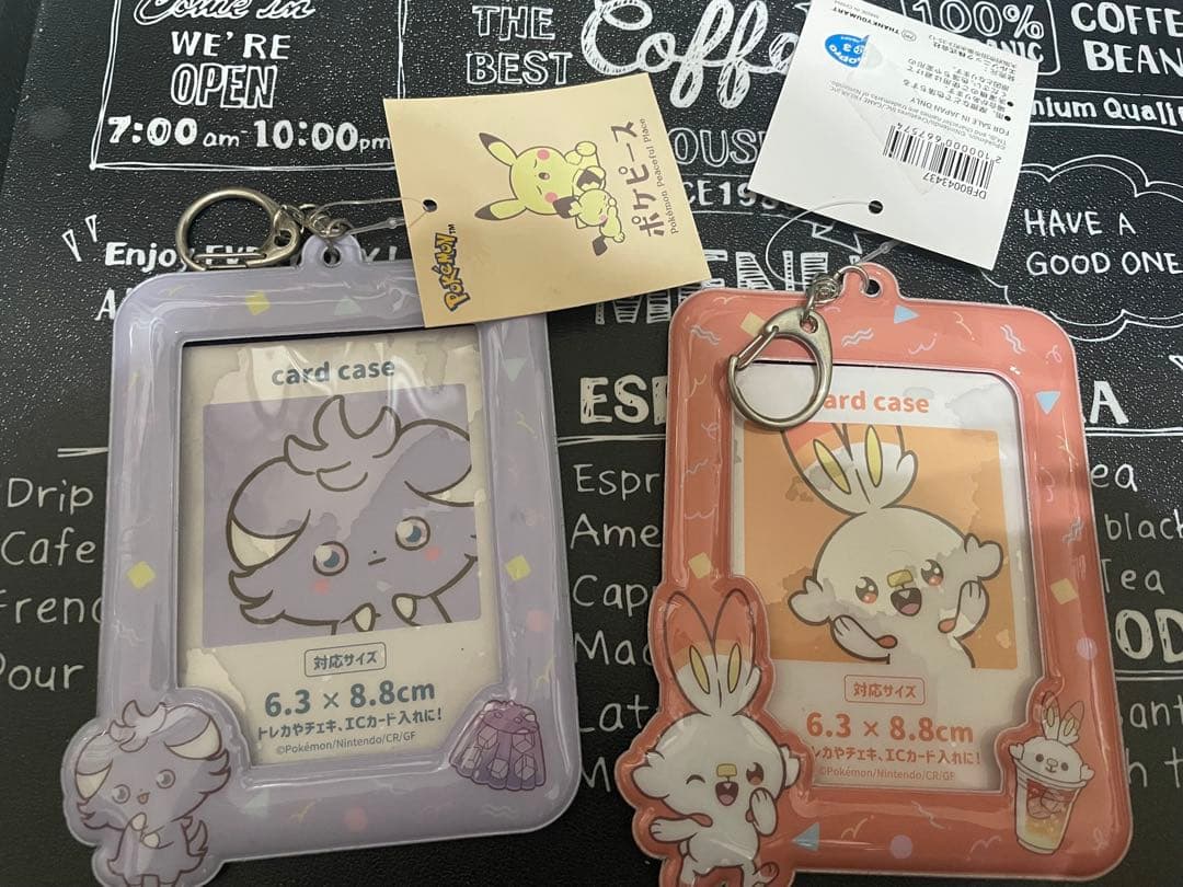 ポケピース　トレカケース　カードケース　ヒバニー　ニャスパー