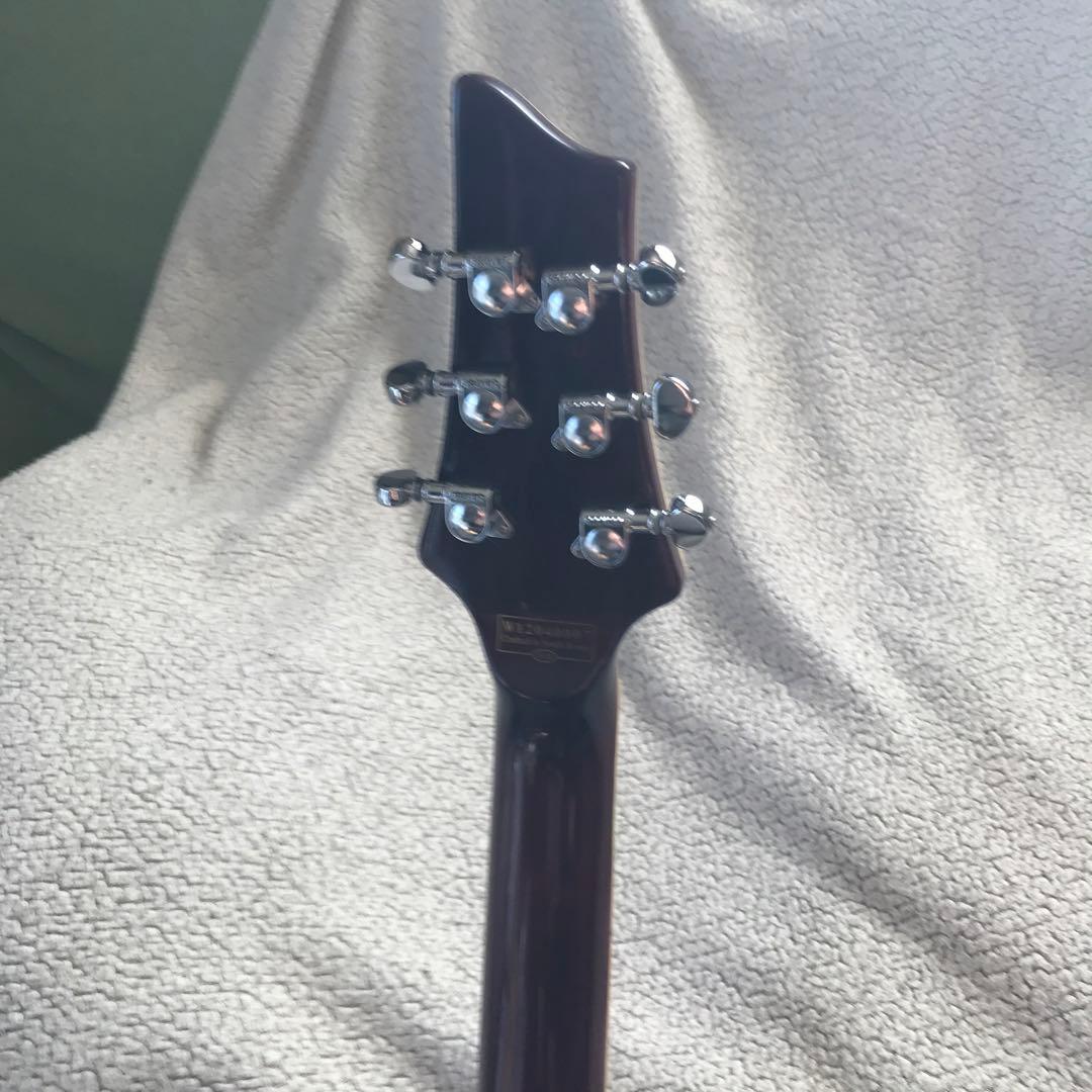 ギター Schecter Hellraiser special